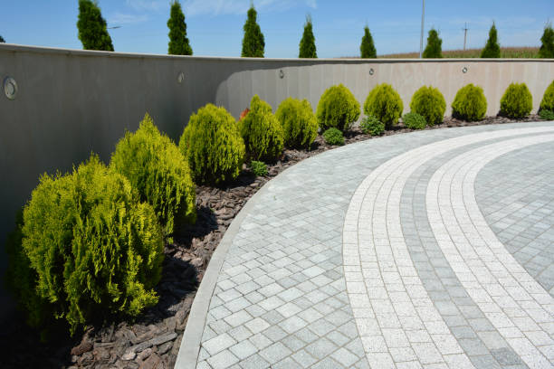 Best Interlocking Driveway Pavers  in Caddo Mills, TX